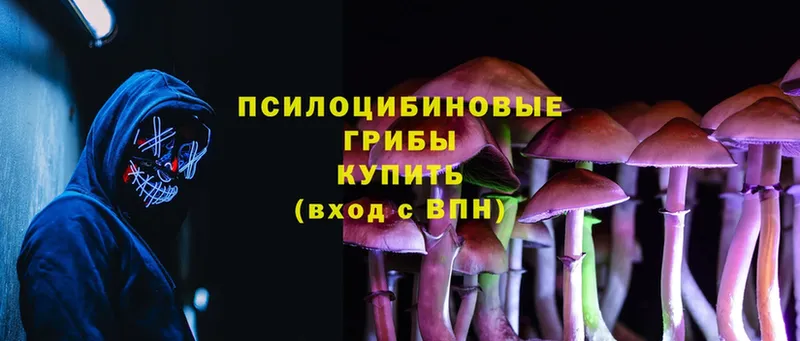 Галлюциногенные грибы Psilocybine cubensis Альметьевск